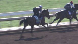 WORKOUT: American Pharoah (7/12/15)