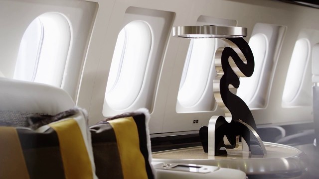 Airbus A319 Corporate Jet by Aberto Pinto Interior Design