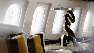 Airbus A319 Corporate Jet by Aberto Pinto Interior Design