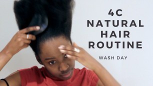 4C Natural Hair Routine | Wash Day