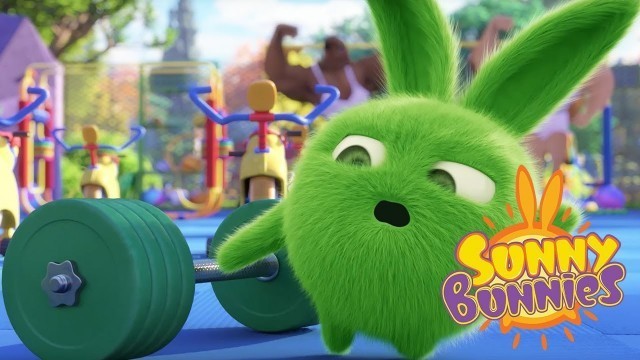 'Sunny Bunnies - GYM WORKOUT | Cartoons For Children | Funny Cartoons For Children'