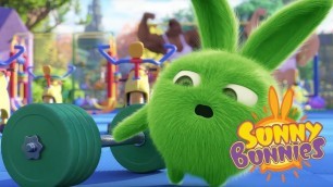 'Sunny Bunnies - GYM WORKOUT | Cartoons For Children | Funny Cartoons For Children'