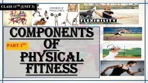 'Components of Physical Fitness || class 11th || unit 3rd || physical education'