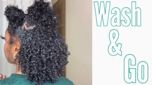 Wash & Go Routine on Short (post big chop) Natural 3c/4a Hair