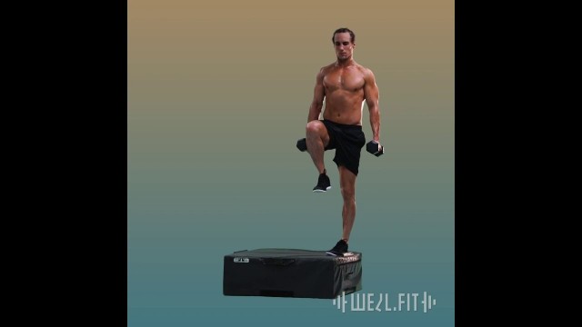 'Dumbbell Crossover Step Up | WellFit'