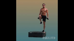 'Dumbbell Crossover Step Up | WellFit'