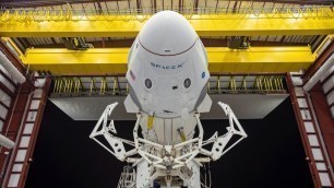 Watch again: Historic Nasa SpaceX launch delayed due to weather