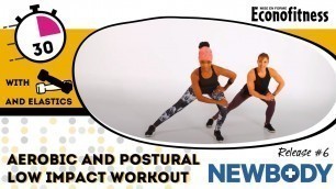 'Newbody 6 English'