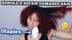 I Tried Olaplex No. 3 Treatment On My Natural Hair And This Happened...