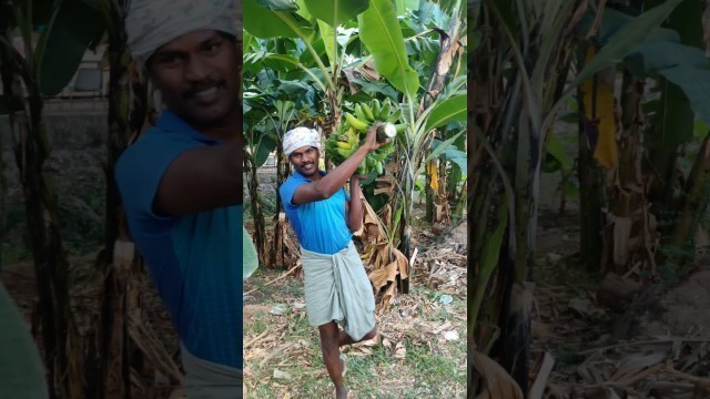 'Nature of Africa free free documentary natureஇயற்கை வளம்- ஆப்பிரிக்கா'