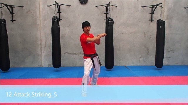 'Arnis 12 Attack Striking 5'
