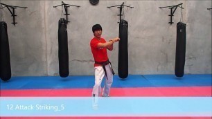 'Arnis 12 Attack Striking 5'