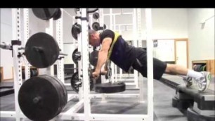 'Fortis Push Up Harness Set Up'