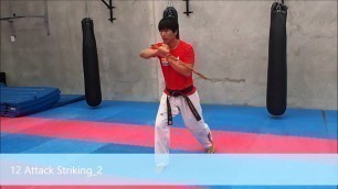 'Arnis 12 Attack Striking 2'
