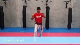 'Arnis 12 Attack Striking 3'