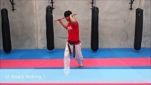 'Arnis 12 Attack Striking 1'