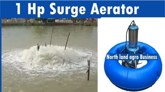 '( 1Hp surge aerator) পেকুয়া,কক্সবাজারে ১ ঘোড়া সার্জ এয়ারেটর | North land Agro Business'