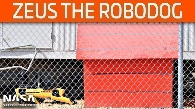 SpaceX Boca Chica - Zeus the Robodog Spotted - High Bay Rises Rapidly