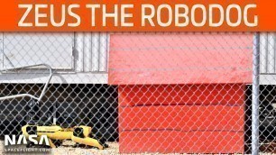 SpaceX Boca Chica - Zeus the Robodog Spotted - High Bay Rises Rapidly