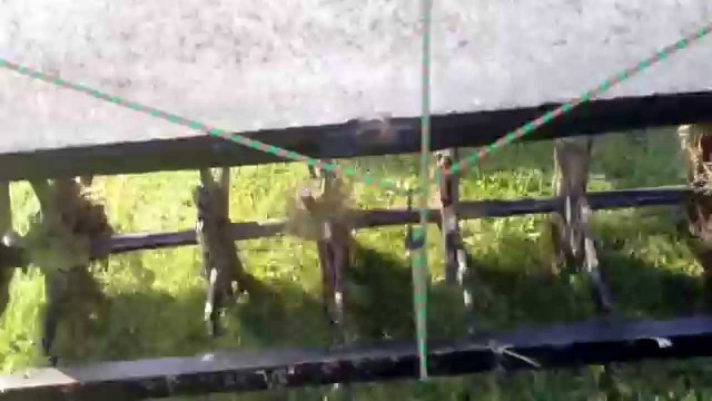 'AERATOR LAWN DIY- BUCATRICE PRATO'