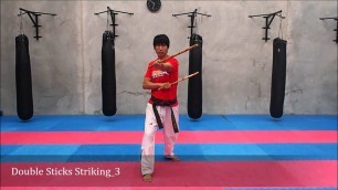 'Arnis Double Sticks Striking 3'