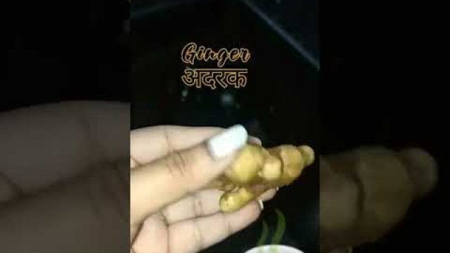 'Weight lose tips ayurveda fitness health shortvideo #shorts #youtubeshorts #youtube #viralvideo'
