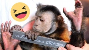 'Monkey Nail Care Routine!'