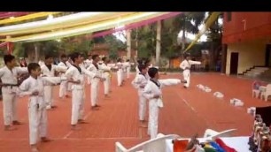 'United Martial Arts Academy .Karate Demo