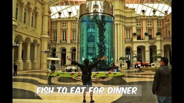 'Fish to Eat for Dinner: MGM Macau (Watch in HD)'