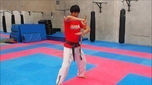 'Arnis Basic Block 1'