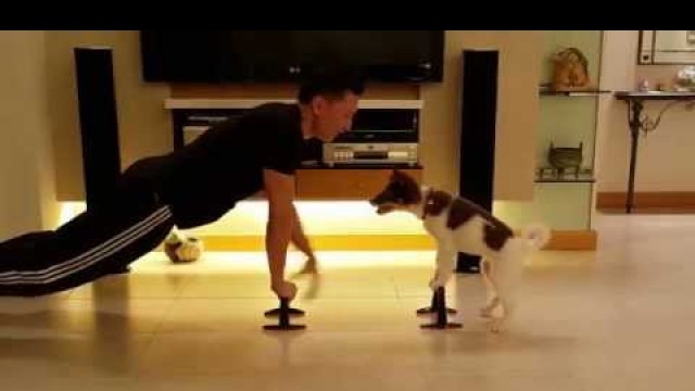 'Fitness exercise with your dog (One, Two, Three, Four, Kiss??) - Eric Ko & Teeny'