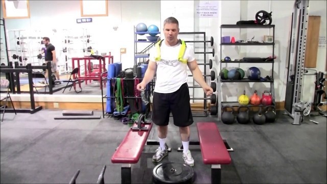 'The Fortis Push-Up Harness ™'